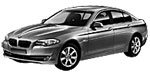 BMW F10 U113C Fault Code